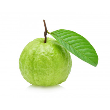Guava (Amrood) - 500Gm