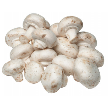 Mushroom - 1 Pkt