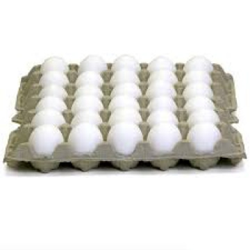 Local Eggs Tray-30 PCS