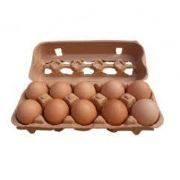 Bajaj Brown Eggs -10pc